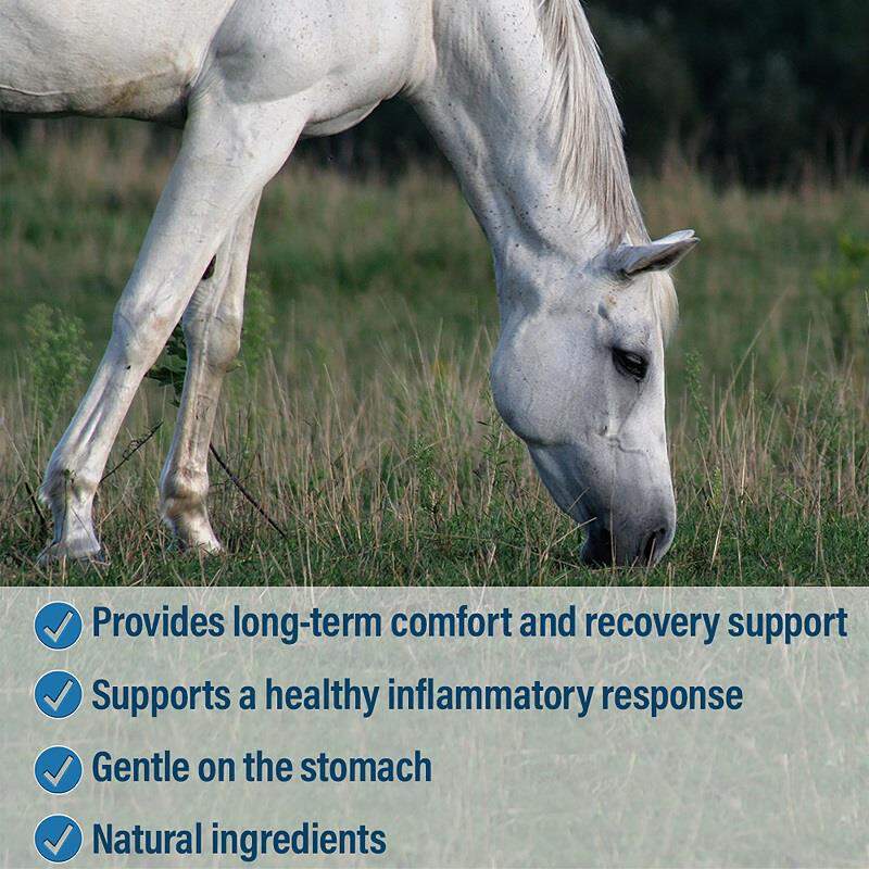 Bute Paste For Horses At Tractor Supply Co