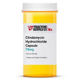 Clindamycin Hydrochloride Capsules
