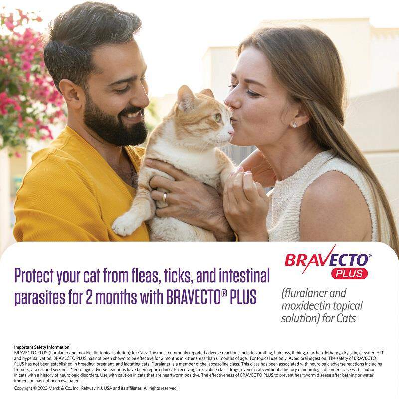 Bravecto Plus For Cats At Tractor Supply Co