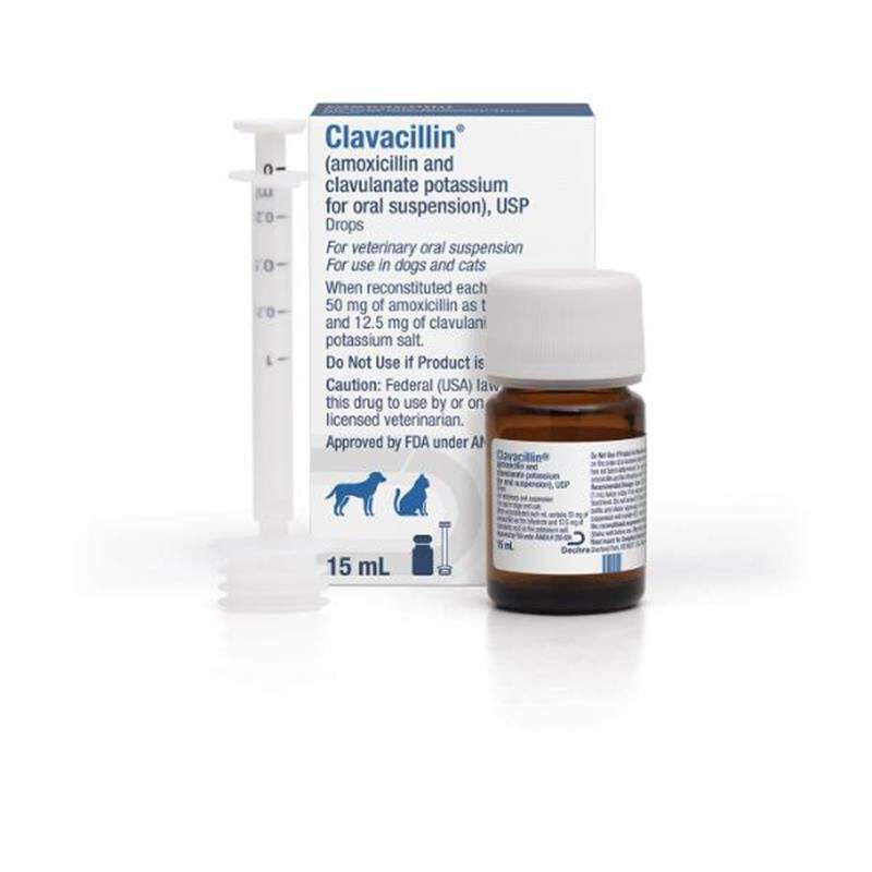 Amoxicillin and Clavulanate Potassium Oral Suspension Drops for Dogs