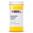 Amoxicillin 500 mg Capsule