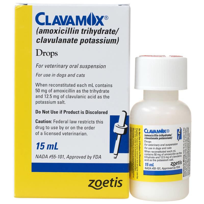 Amoxicillin for dogs tractor supply cheap
