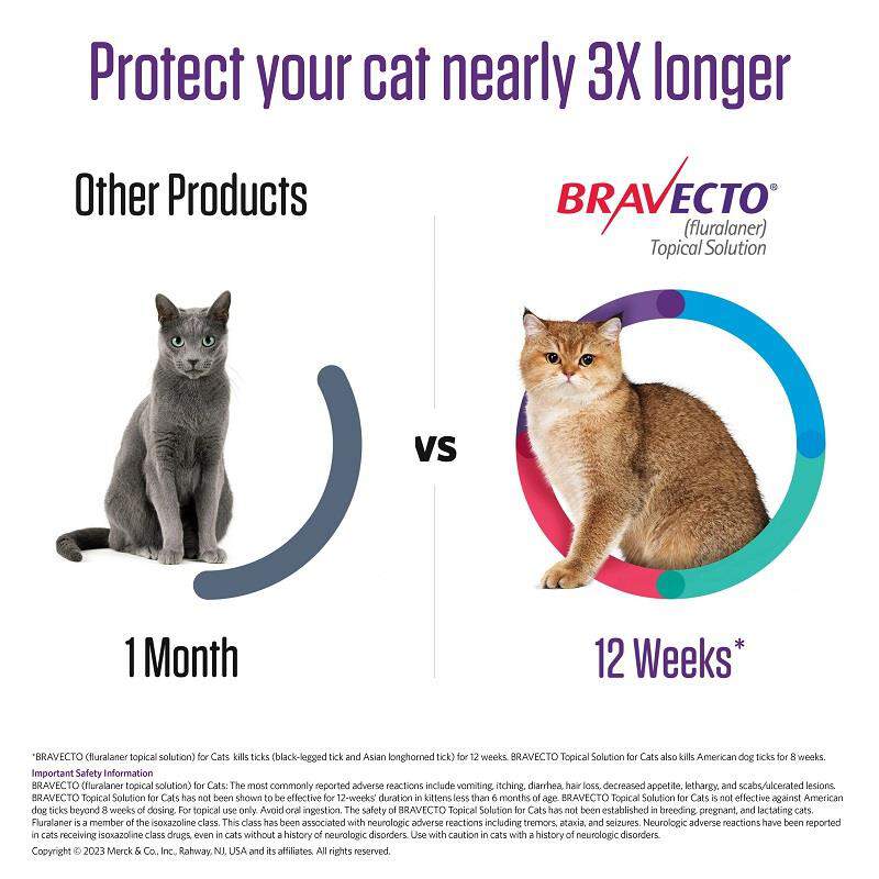 Bravecto Topical Solution For Cats At Tractor Supply Co