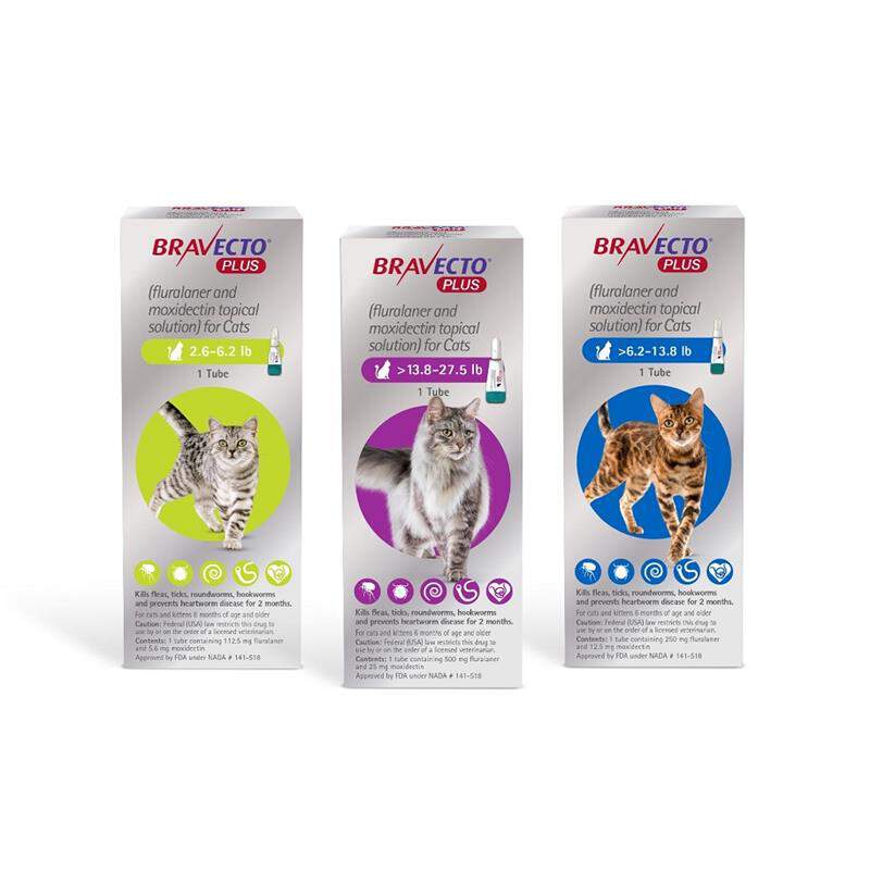 Bravecto Plus For Cats At Tractor Supply Co