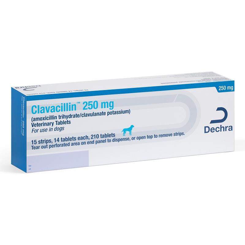Amoxicillin Trihydrate and Clavulanate Potassium Tablet Free 2 Day