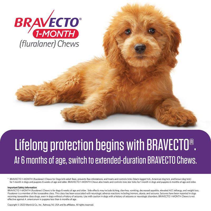 Bravecto 1Month Chews