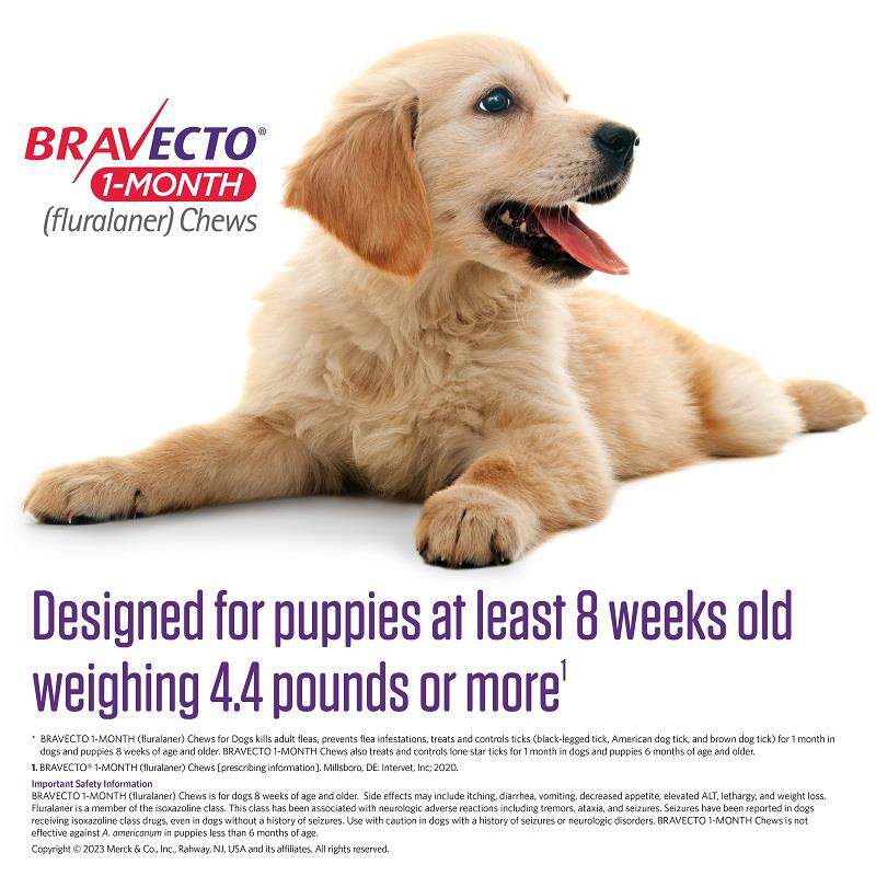 Bravecto 1Month Chews