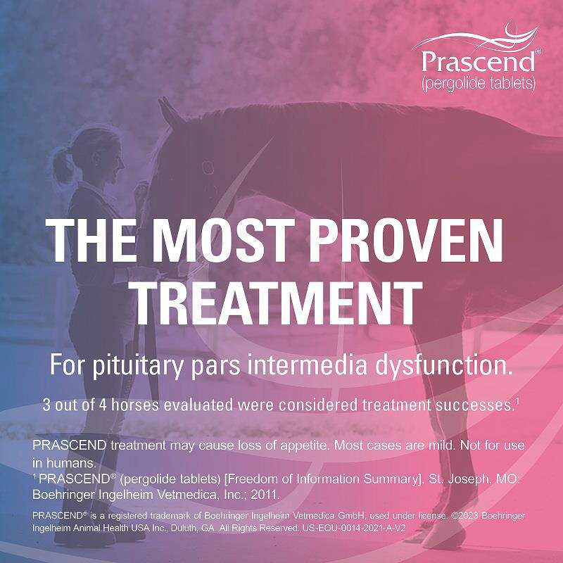 Prascend Tablets For Horses At Tractor Supply Co