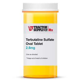 Terbutaline Sulfate Tablet