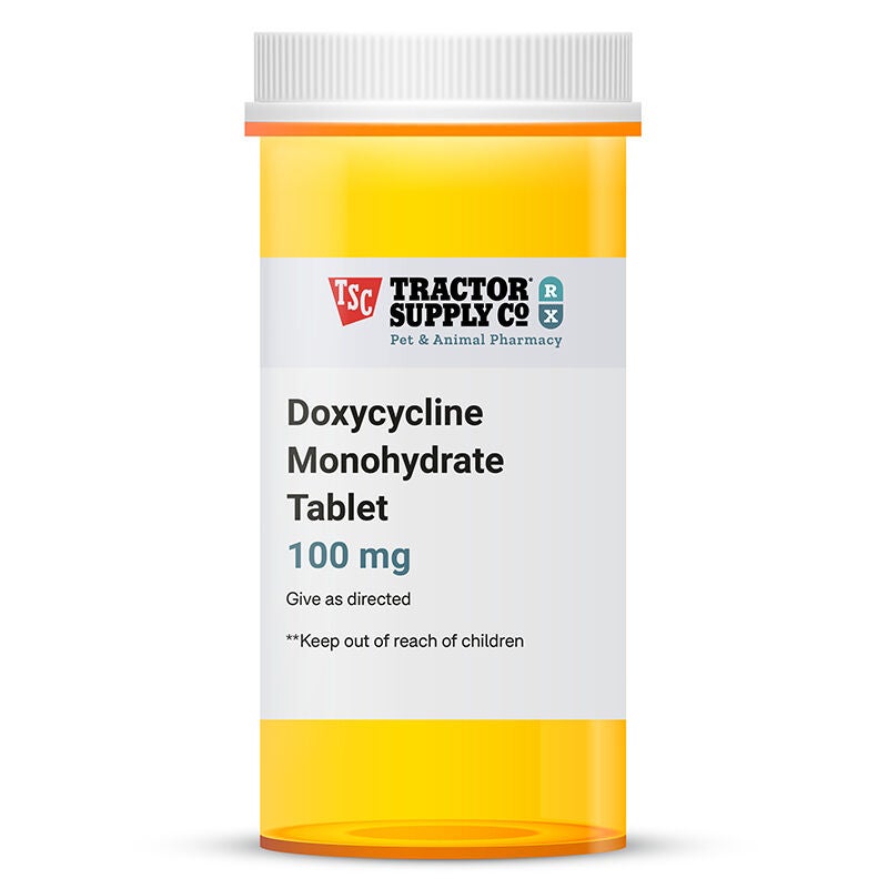 Dog Antibiotics Pills Ointment Drops and Tablets at Tractor Supply Co