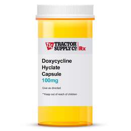 Doxycycline Hyclate 100mg Capsule