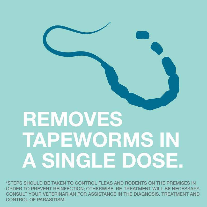 Tapeworm Dewormer For Dogs 5 Oral Tablets At Tractor Supply Co