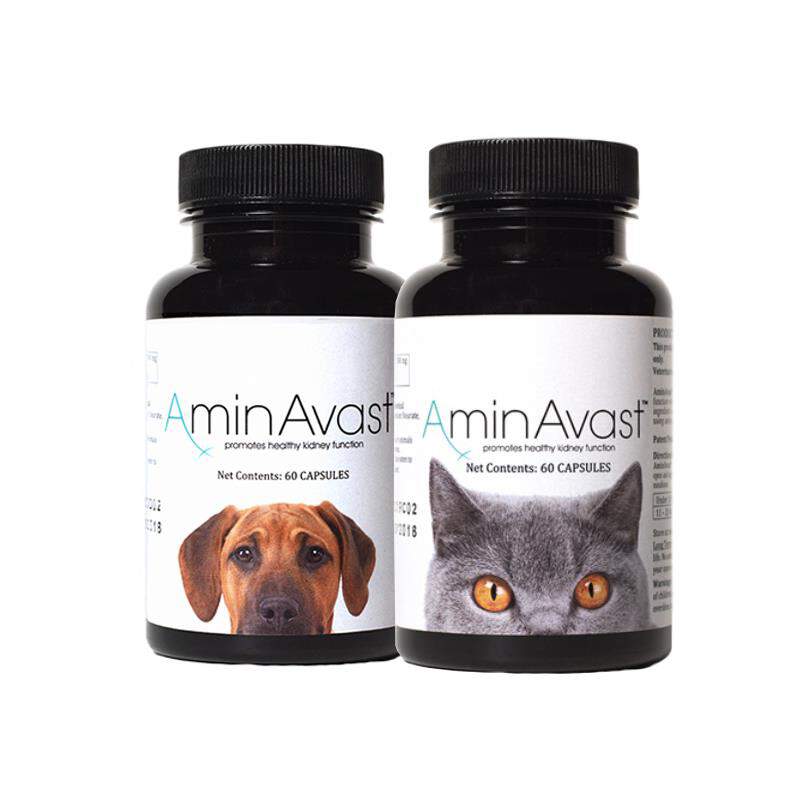 Aminavast Kidney Support For Dogs And Cats At Tractor Supply Co