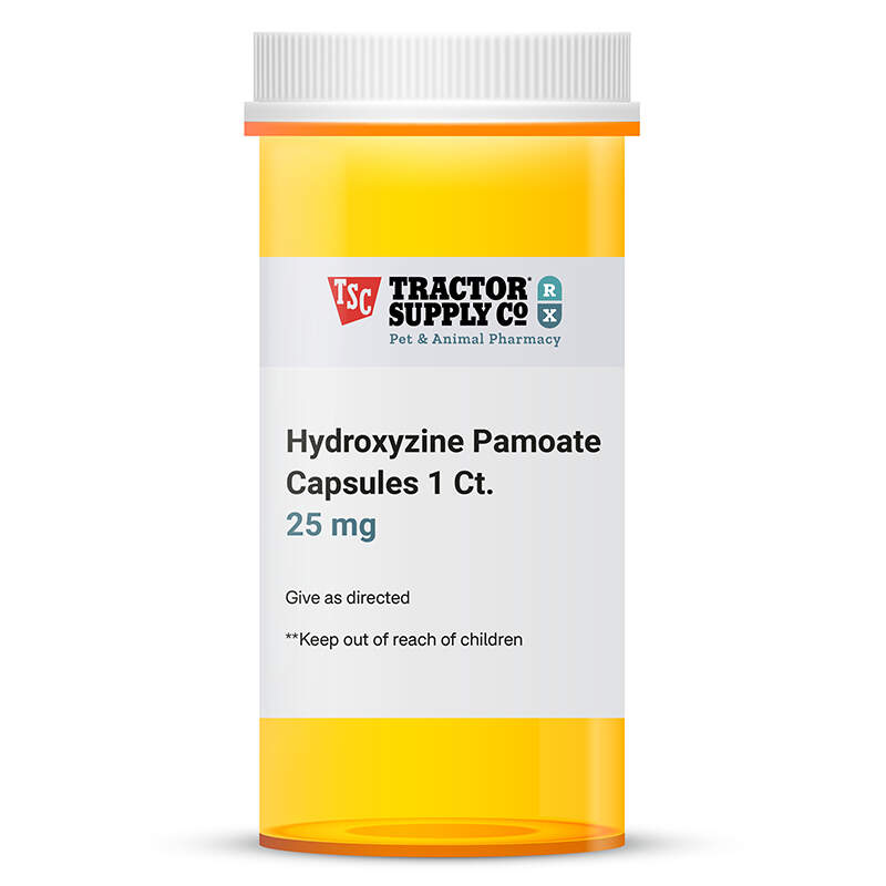 Hydroxyzine Pam 25Mg Capsule For Dogs, Cats And Horses At Tractor Supply Co