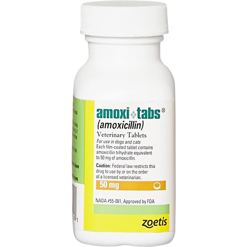 Amoxi Tabs Amoxicillin 100Mg 400Mg For Dogs And Cats At Tractor Supply Co