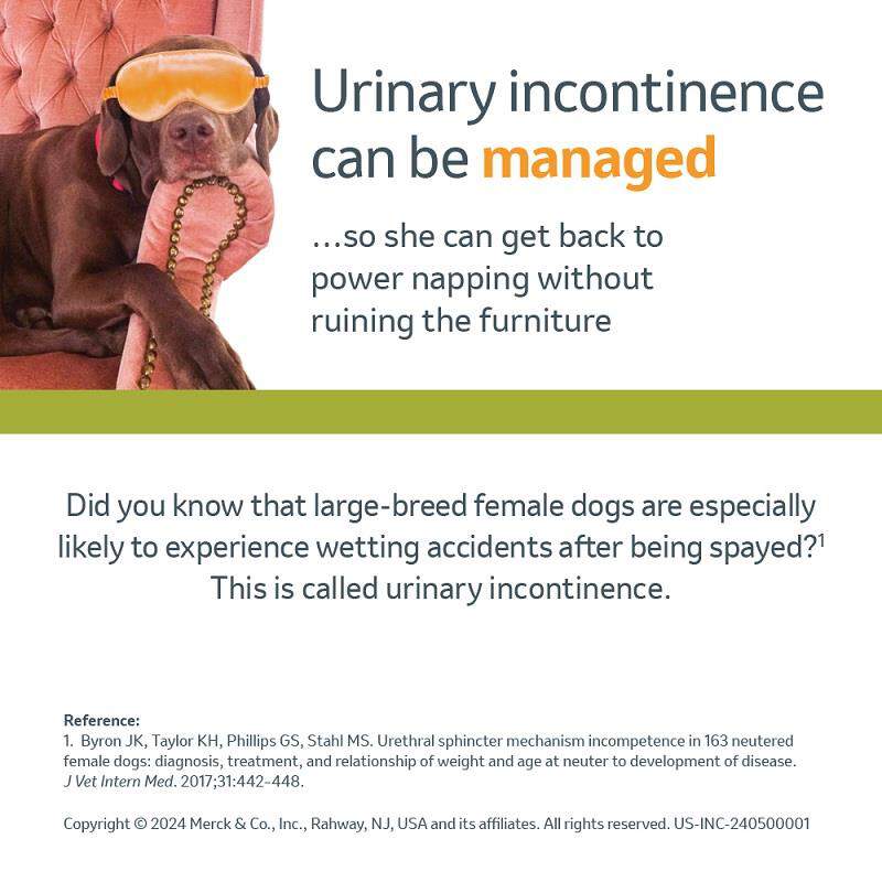 Incurin 1 Mg, 30 Tablets Dosage For Dogs At Tractor Supply Co