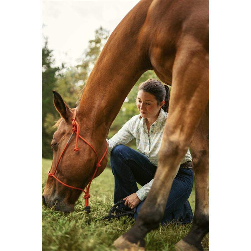 Quest Plus Gel Equine Dewormer At Tractor Supply Co
