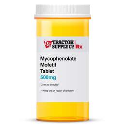 Mycophenolate Mofetil 500 mg Tablet