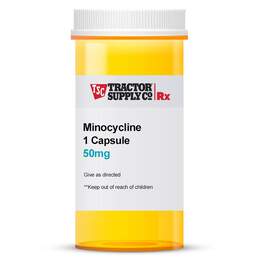 Minocycline 50mg 1 Capsule