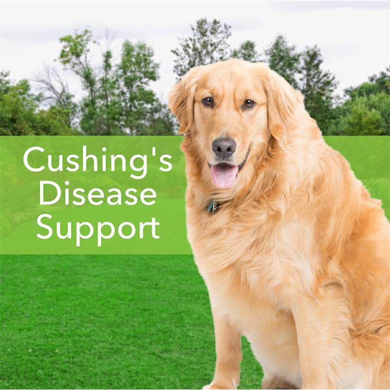 Pet Wellbeing Adrenal Harmony Gold for Dogs