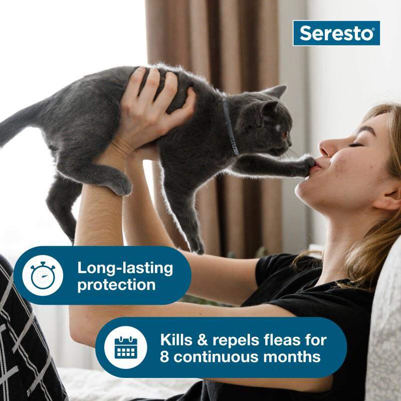 Seresto For Cats At Tractor Supply Co
