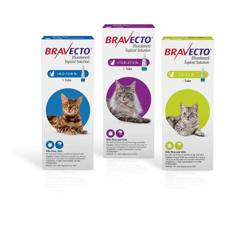 Bravecto Topical Solution For Cats At Tractor Supply Co