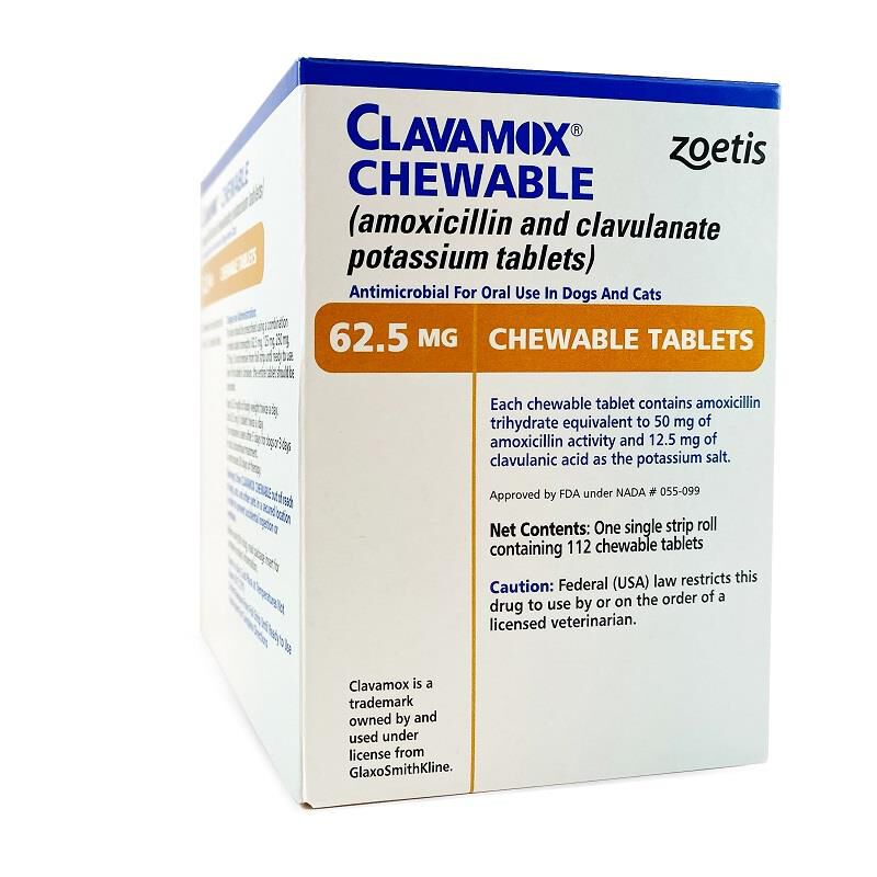 Amoxicillin for dogs tractor supply cheap