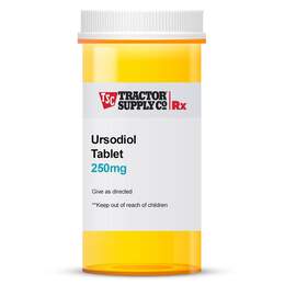 Ursodiol 250 mg Tablet