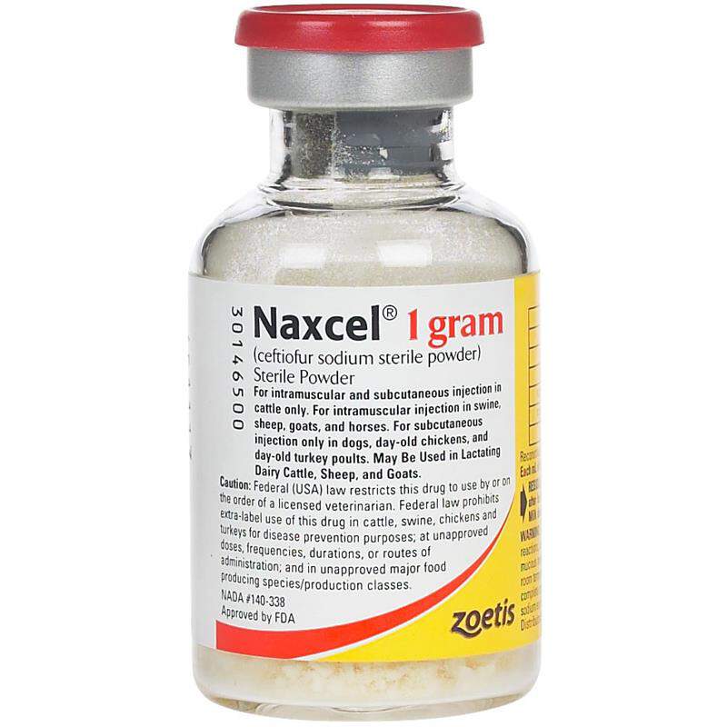 Naxcel Equine Antibiotic At Tractor Supply Co