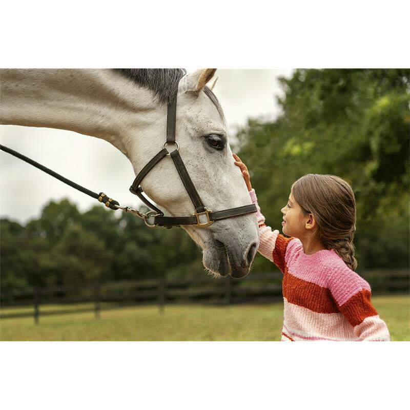 Quest Plus Gel Equine Dewormer At Tractor Supply Co