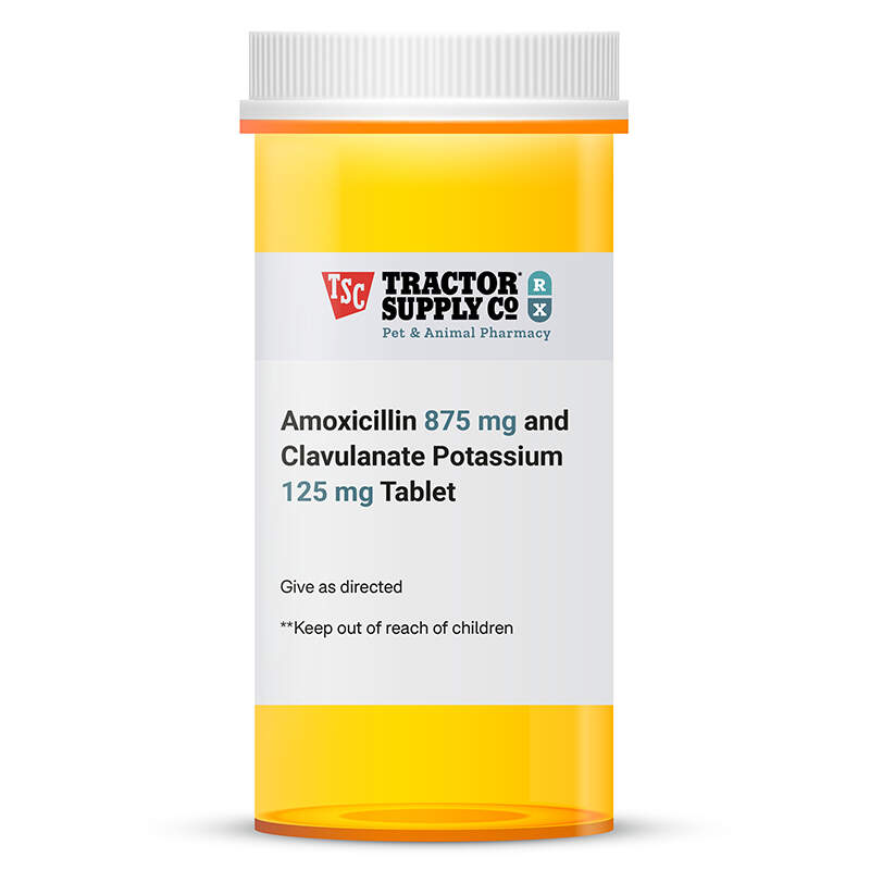 Amoxicillin 875 Mg And Clavulanate Potassium 125 Mg Tablet At Tractor