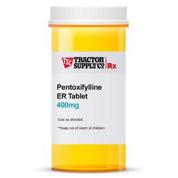 Pentoxifylline 400 mg ER Tablet