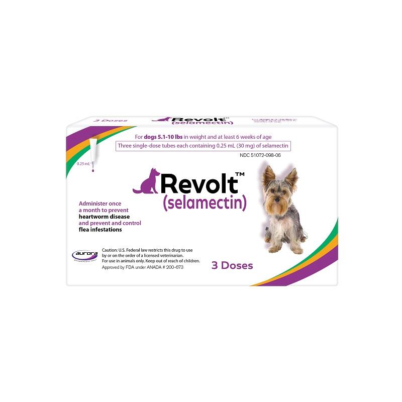 Can I Buy Heartworm Medicine Over The Counter Heartworm In Cats