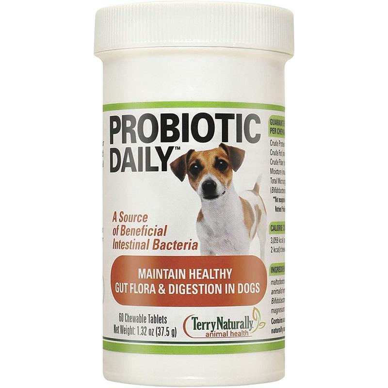 Can Dogs Take Probiotics Daily
