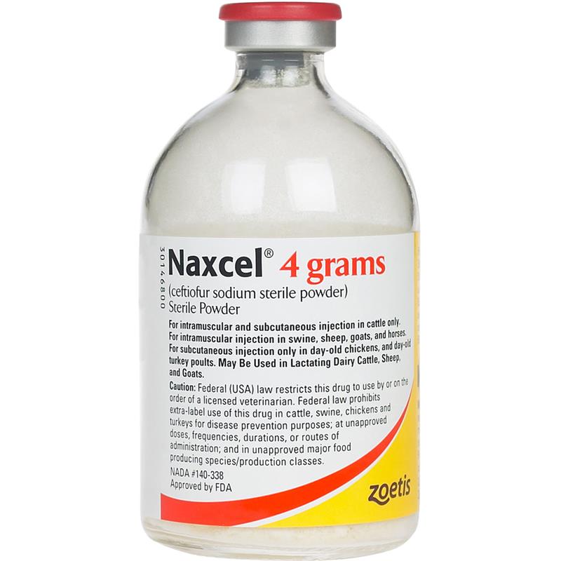 Naxcel Equine Antibiotic At Tractor Supply Co