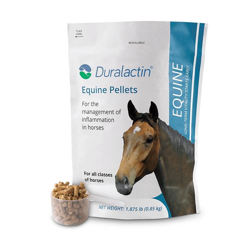 Buy Duralactin Equine Pellets 1.875 Lbs for horses at best price