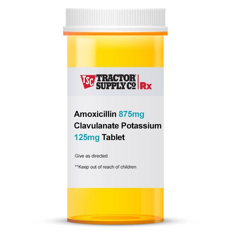 Generic for augmentin 875 mg
